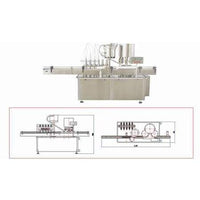 Hhgg High-speed Liquid-filling & Screwing Machine APM-USA