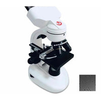 Glass slides optical video lcd digital stereo binocular microscope with ce certificate - Other Products