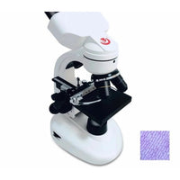 Stereo for lab with screen lcd camera digital and medical inspection binocular binocular microscope - Other Products